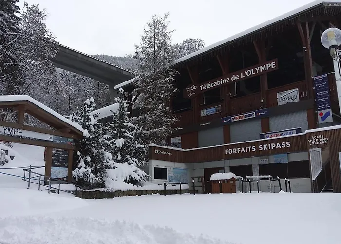 Votre Appartement Savoyard Avec Parking A La Telecabine Pour Skier Les 3 Vallees !